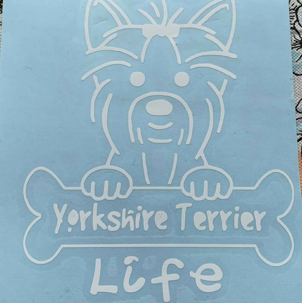 6x6 Yorkie window wall or object decal sticker